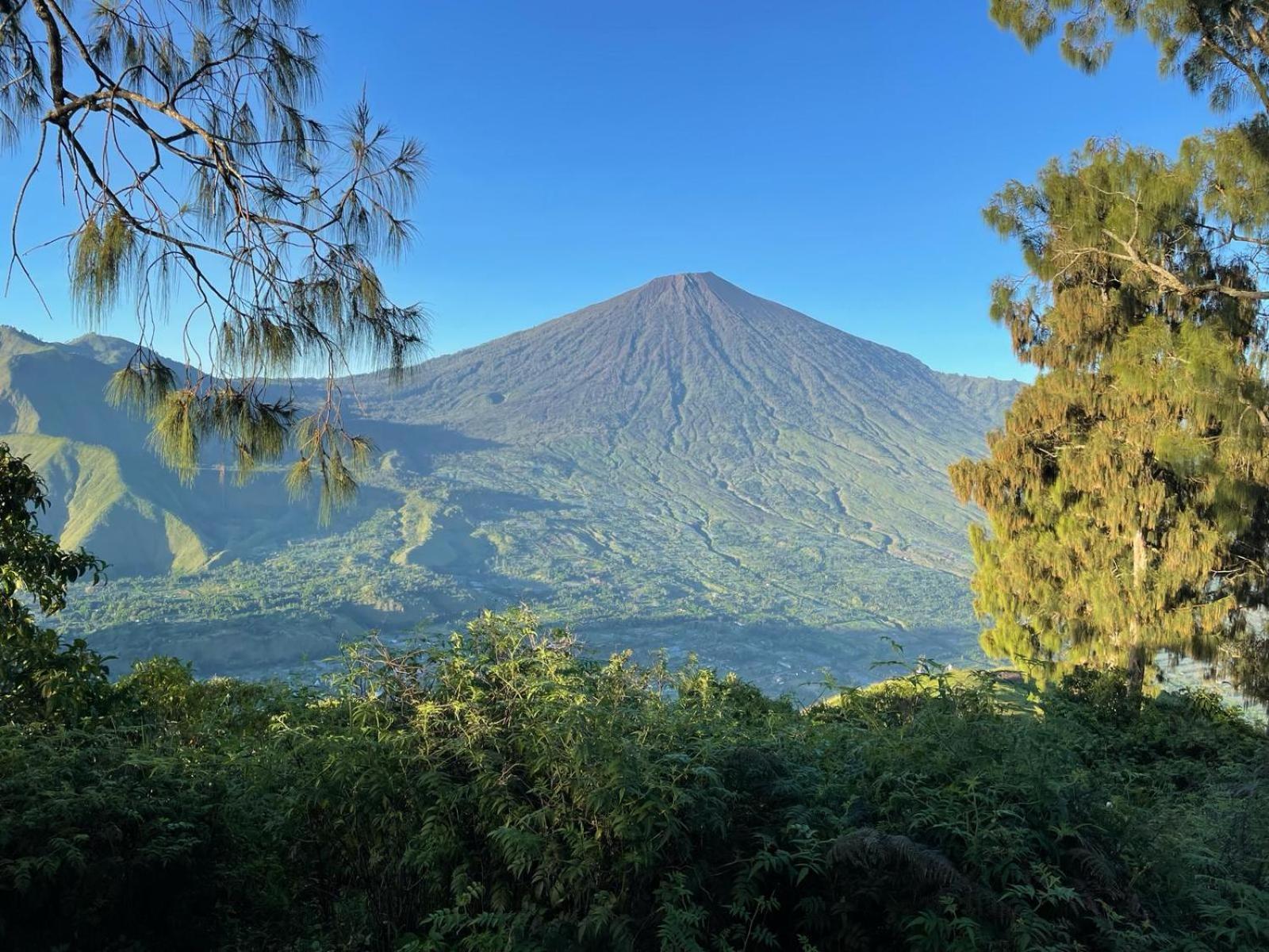 Avocado Homestay Tetebatu Exteriér fotografie