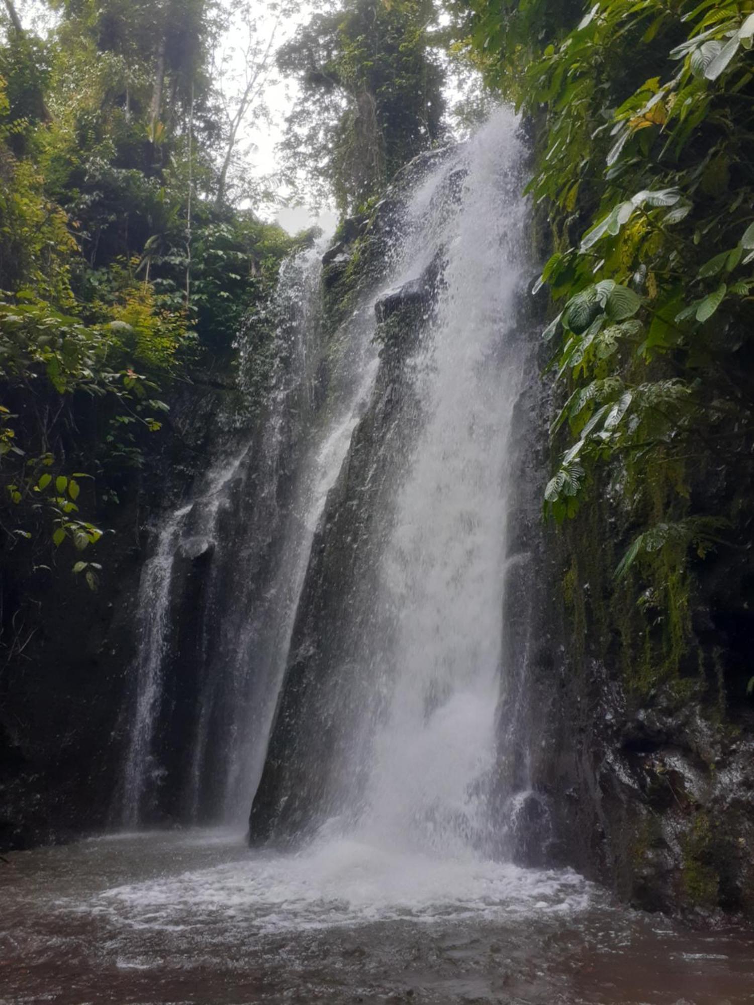 Avocado Homestay Tetebatu Exteriér fotografie