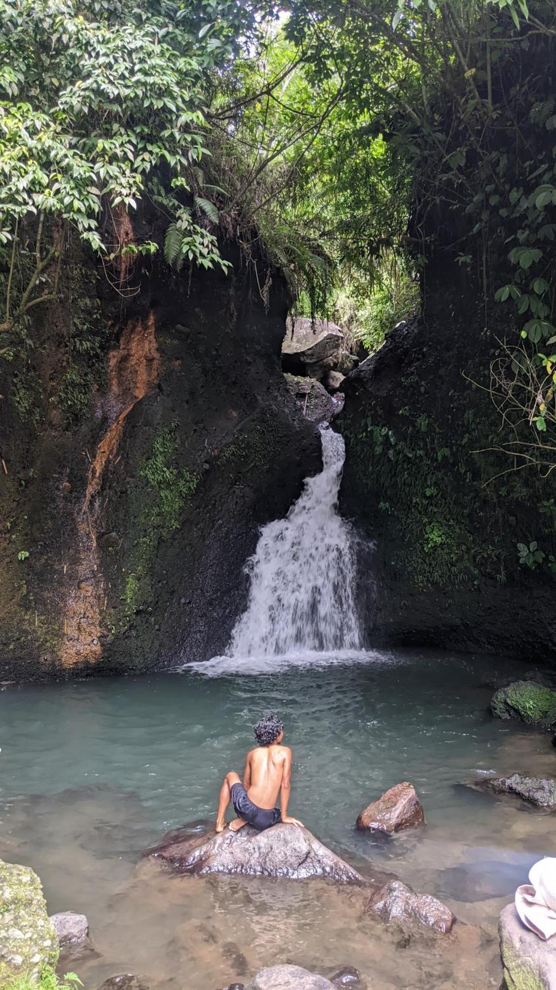 Avocado Homestay Tetebatu Exteriér fotografie