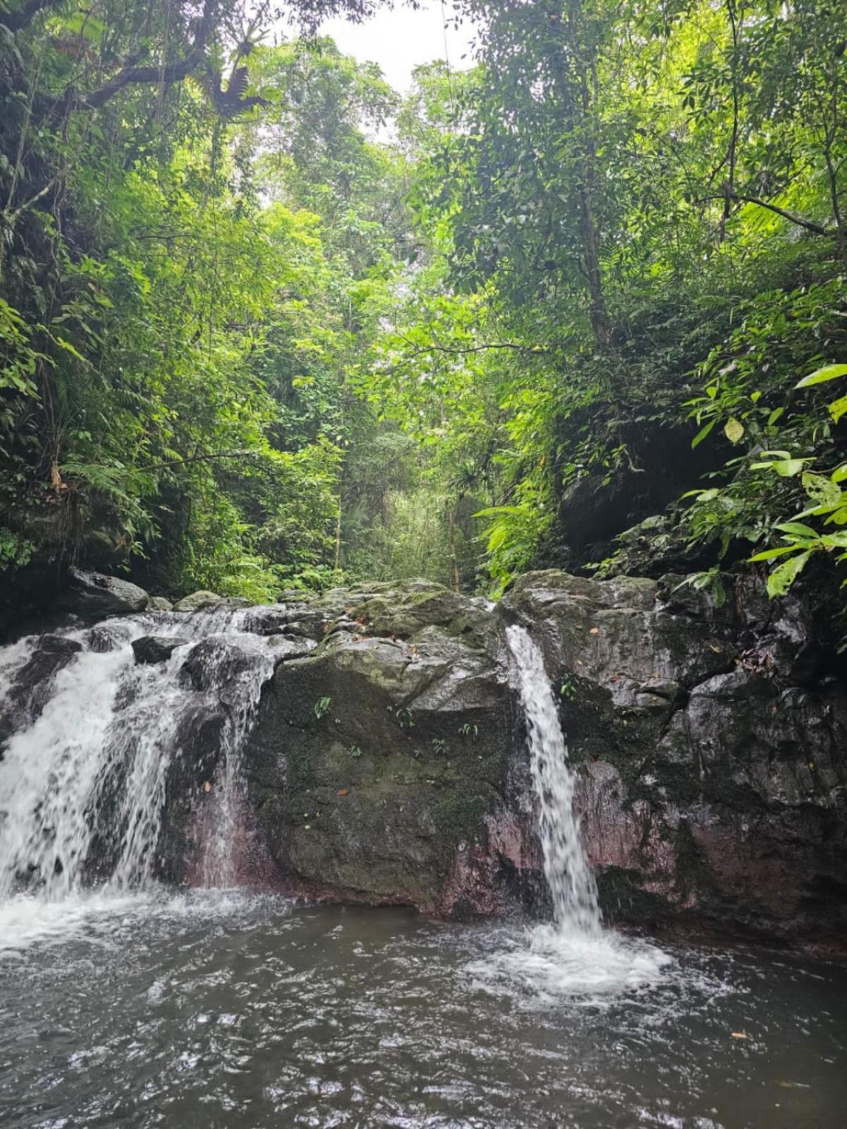 Avocado Homestay Tetebatu Exteriér fotografie