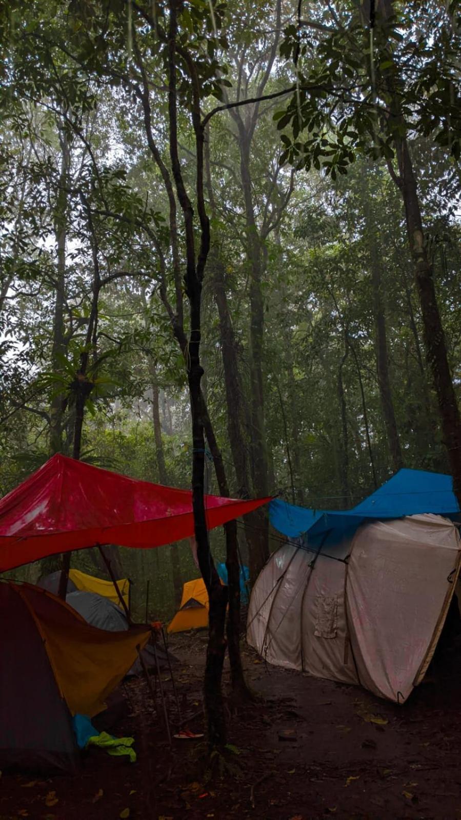 Avocado Homestay Tetebatu Exteriér fotografie