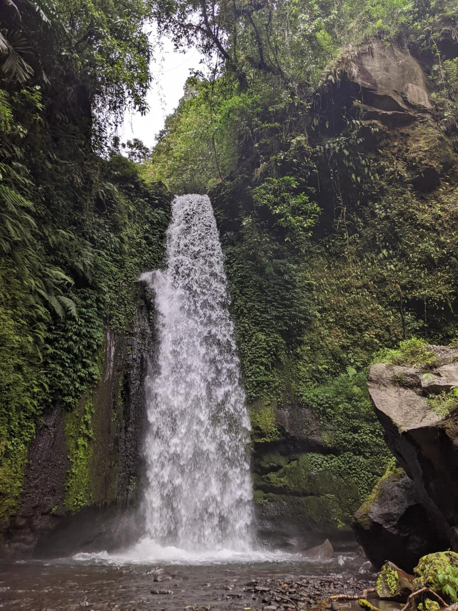 Avocado Homestay Tetebatu Exteriér fotografie