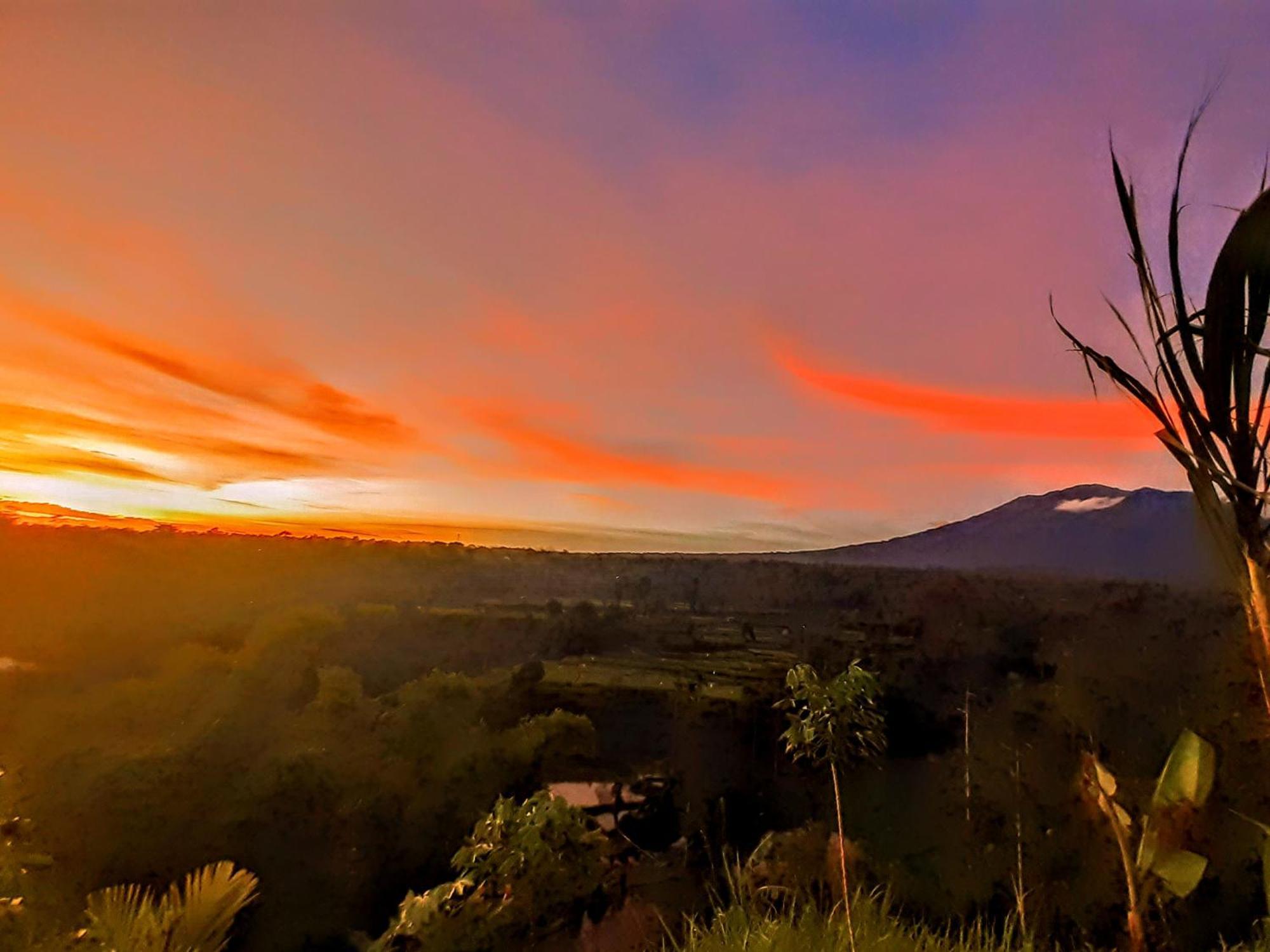 Avocado Homestay Tetebatu Exteriér fotografie
