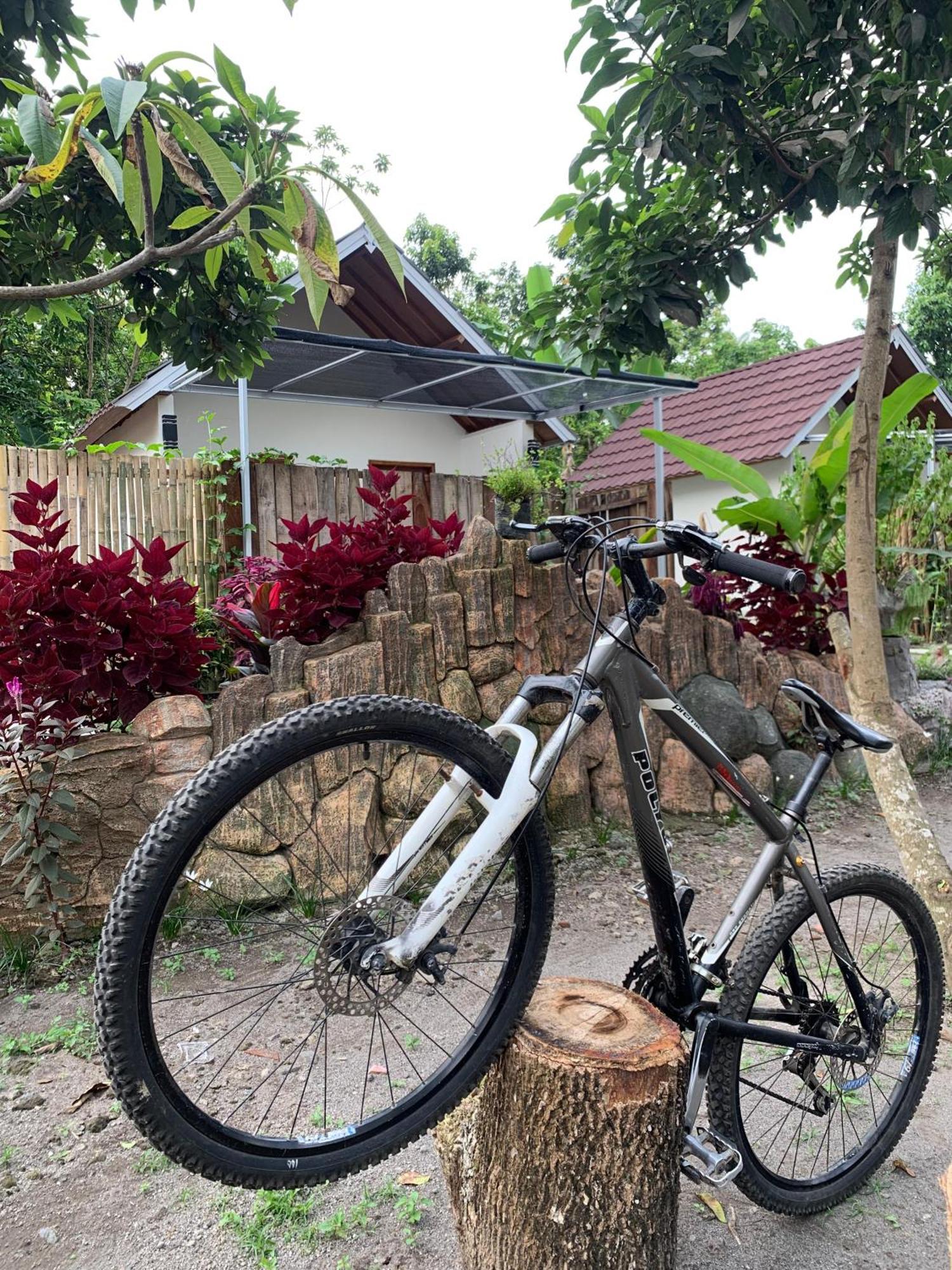 Avocado Homestay Tetebatu Exteriér fotografie