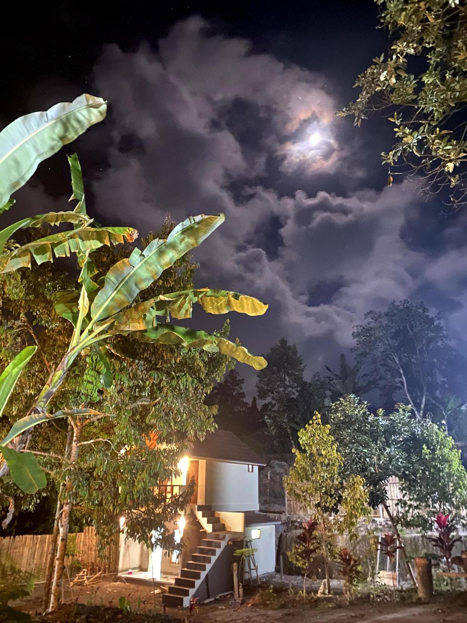 Avocado Homestay Tetebatu Exteriér fotografie